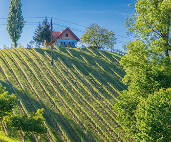 landschaft